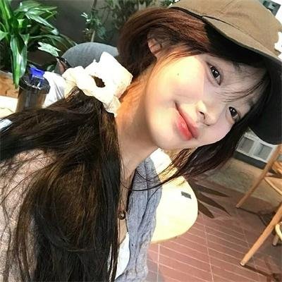 金雉鸡